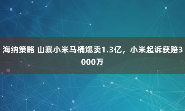 海纳策略 山寨小米马桶爆卖1.3亿，小米起诉获赔3000万